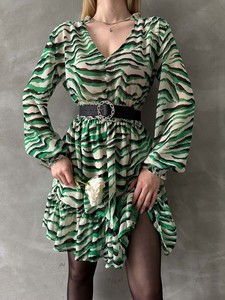 Topshow Emerald Leopard striped dress #4